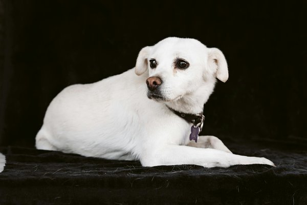 Moule verte : 5 raisons de choisir ce supplément pour vos articulations