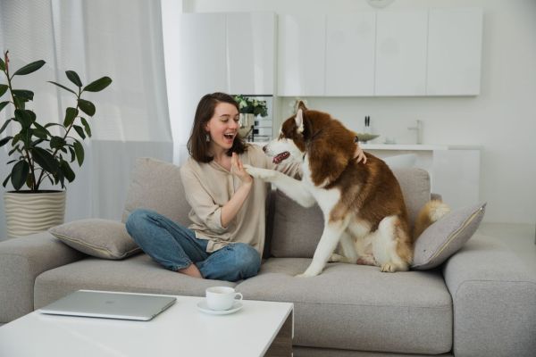 La psychologie du chien: comprendre votre chien pour un meilleur élevage