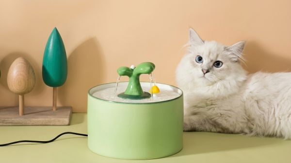 Les fontaines à eau en céramique : un choix idéal pour votre chat